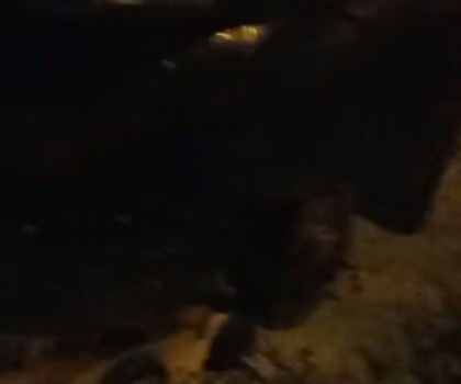 OTO LASTİKÇİ VİDEO